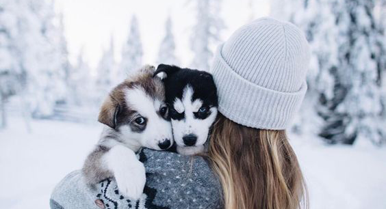 Regavet a Probiovet pomoc při zažívání