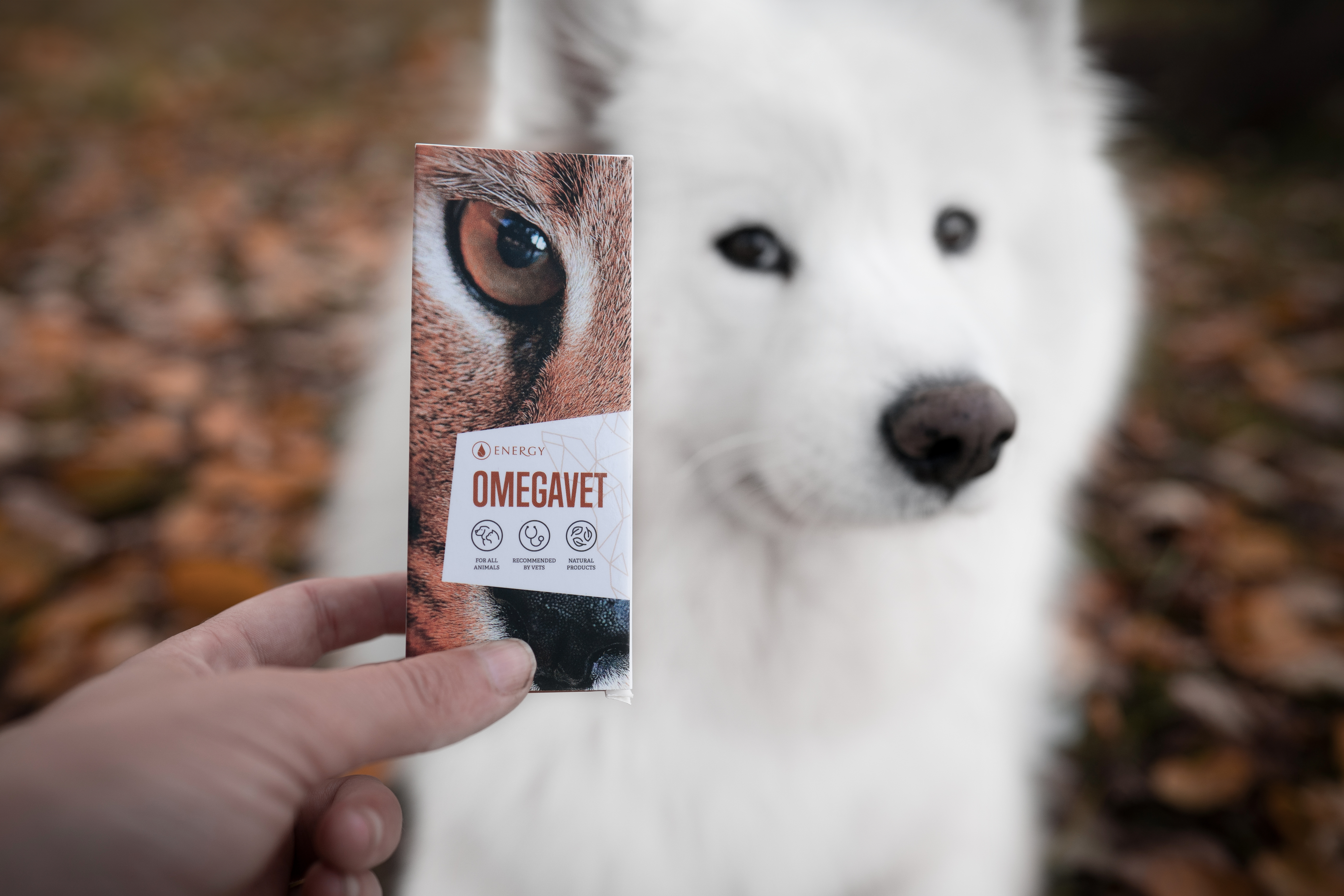 Kůže, srst, přelínávání