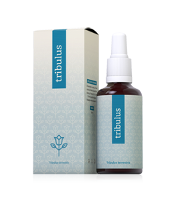 Tribulus Terrestris forte 30 ml (kotvičník zemní)