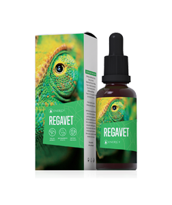 Regavet 30 ml - Játra, zažívání