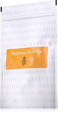 Maytenus ilicifolia 105 g - kosti a klouby